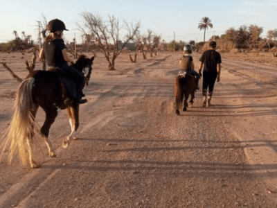 Aventura de Paseo a Caballo — Foto 2 de 3