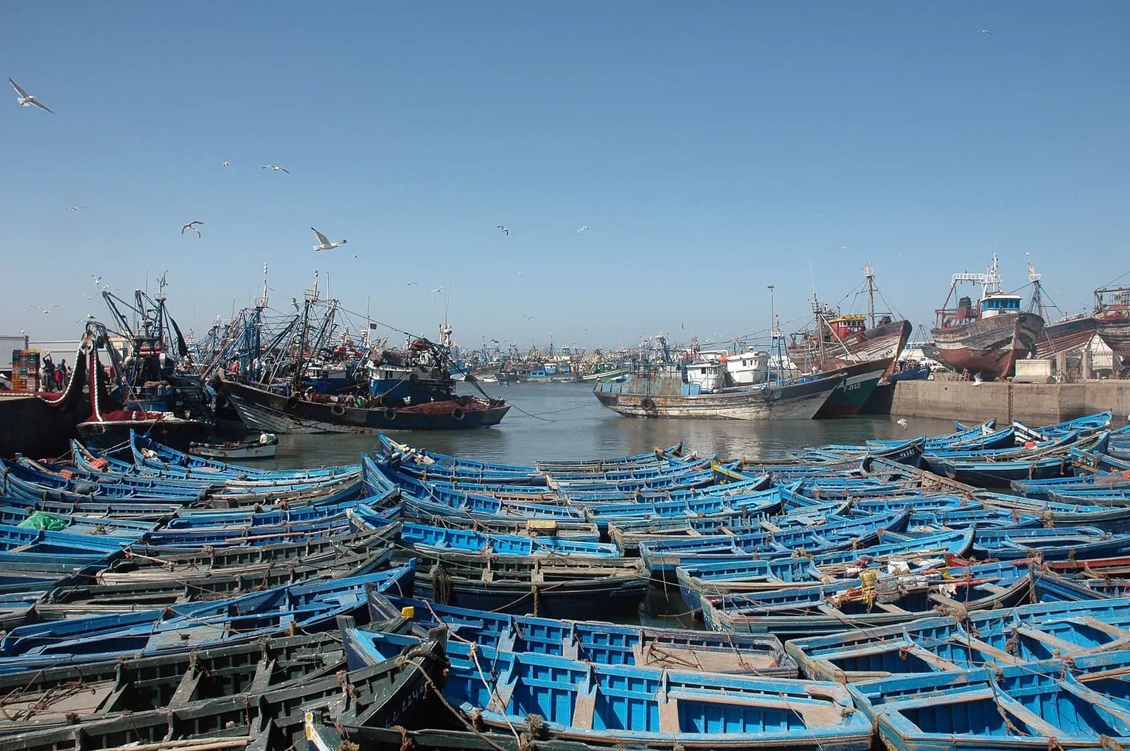 Journée à Essaouira